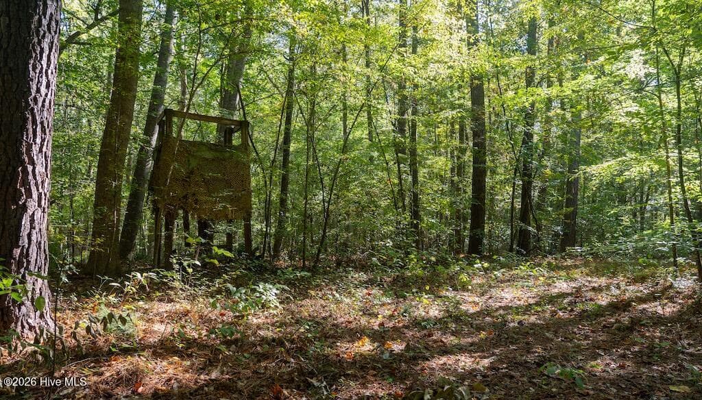 Mixed Use at 0 Spring Hill Road, Scotland Neck, NC 27874, photo 11 of 93