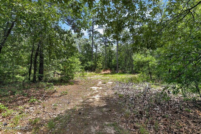 Single Family Residence at 1030 Stubby Oaks Road, Aberdeen, NC 28315, photo 30 of 42