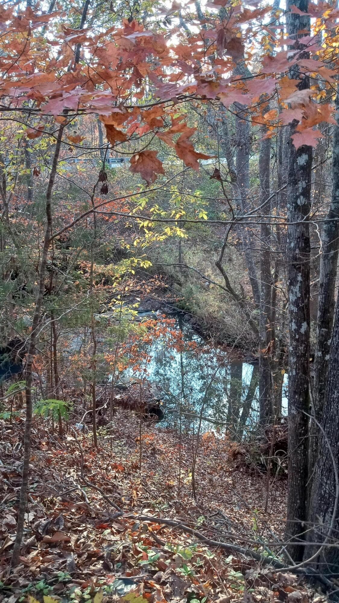 Residential Lot at 2722 Sc-23, Modoc, SC 29838, photo 17 of 62
