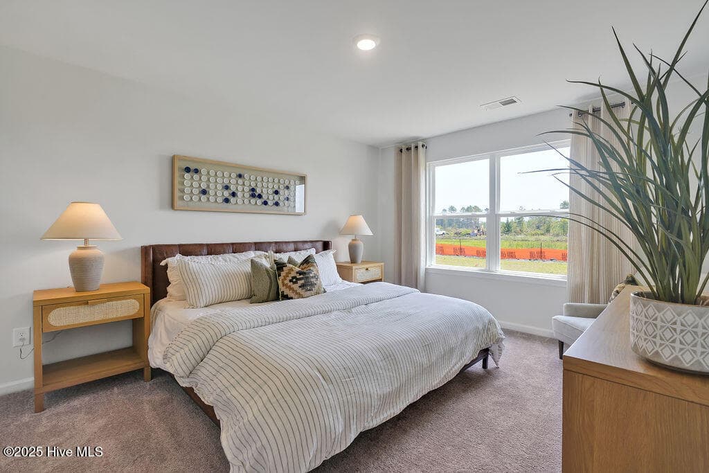 The photos you see here are for illustration purposes only, interior and exterior features, options, colors and selections will vary from the homes as built. - 5322 Areca Road Lot 347, Castle Hayne, NC 28429