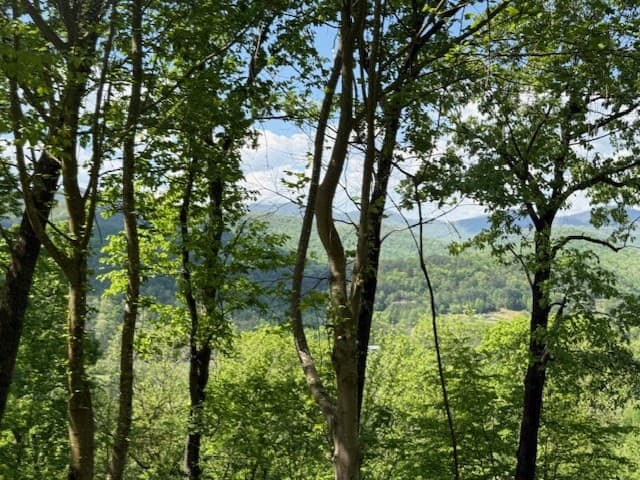 Residential Lot at Lot 43 43 Silo View, Marble, NC 28905, photo 5 of 11