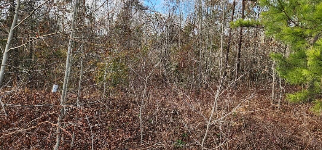 Residential Lot at 2664 New Hope Circle, Hephzibah, GA 30815, photo 2 of 8