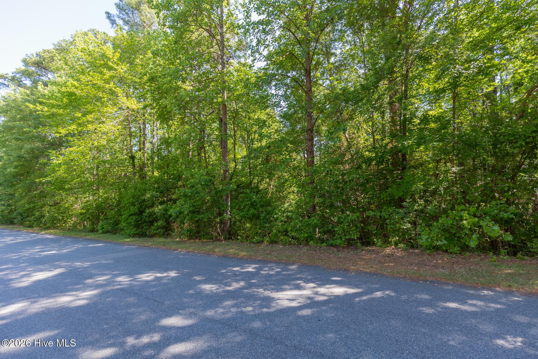 Wooded at 305 Kingswood Circle, Pinehurst, NC 28374, photo 3 of 6