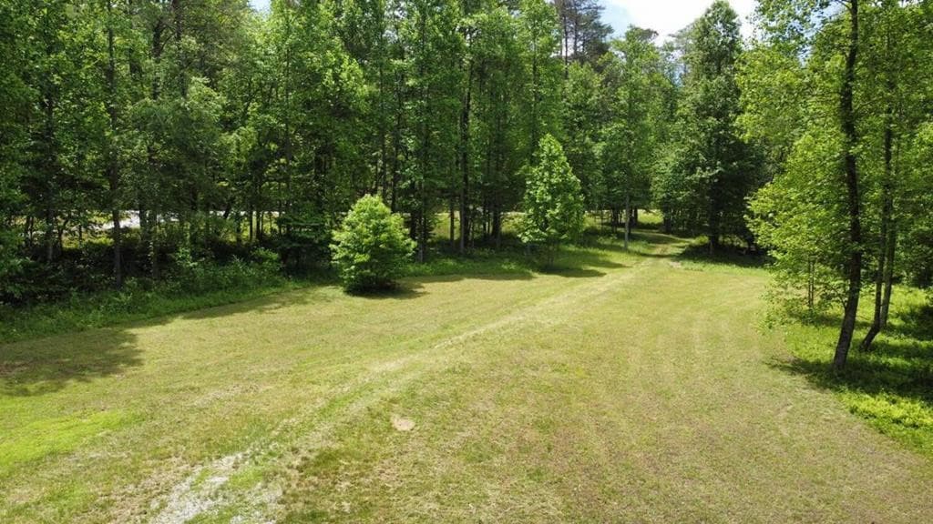 Land at Tract 1 Timber Ridge Road, Blairsville, GA 30512, photo 2 of 19