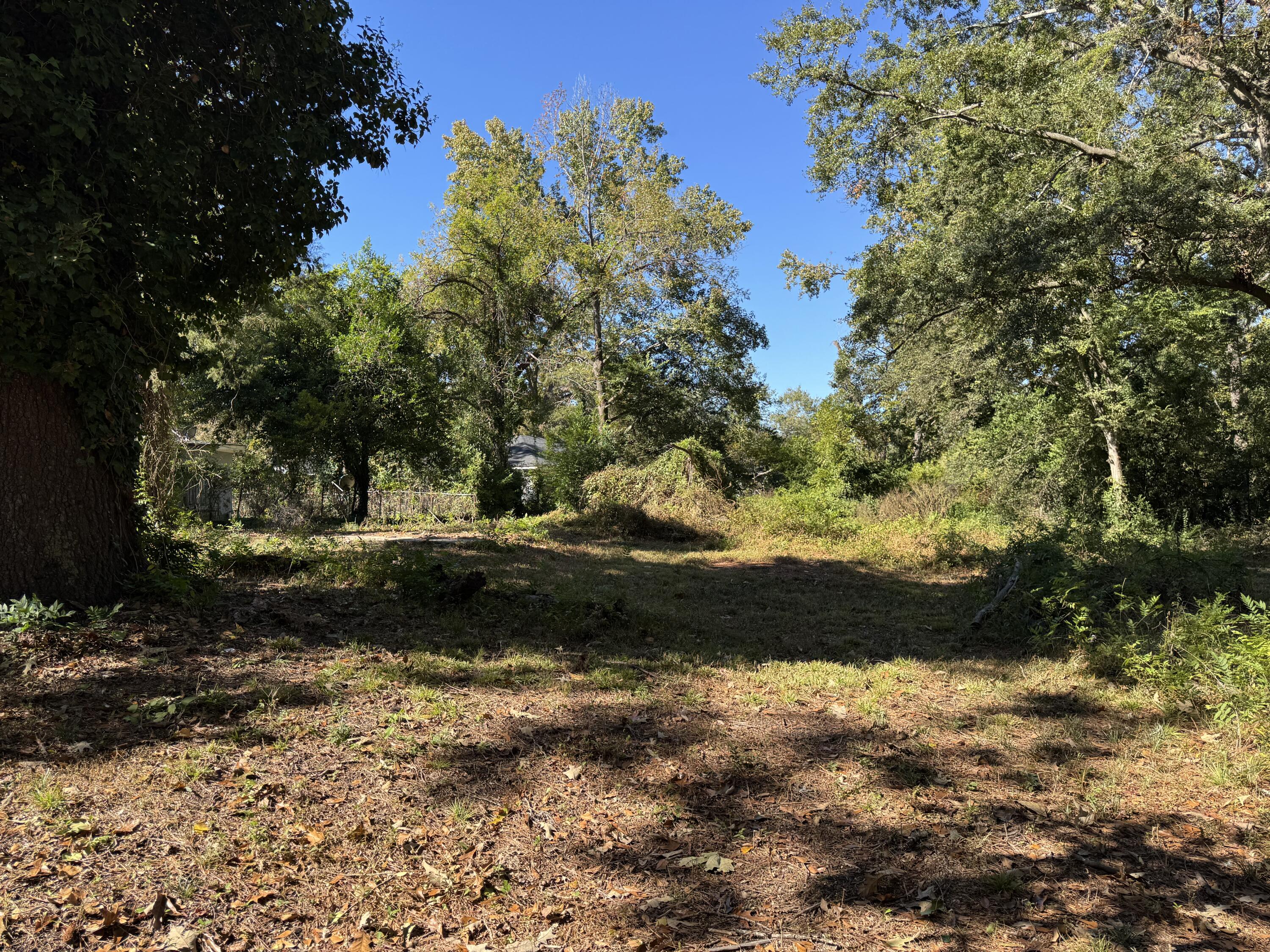 Residential Lot at 543 Basin Street, Augusta, GA 30909, photo 3 of 8