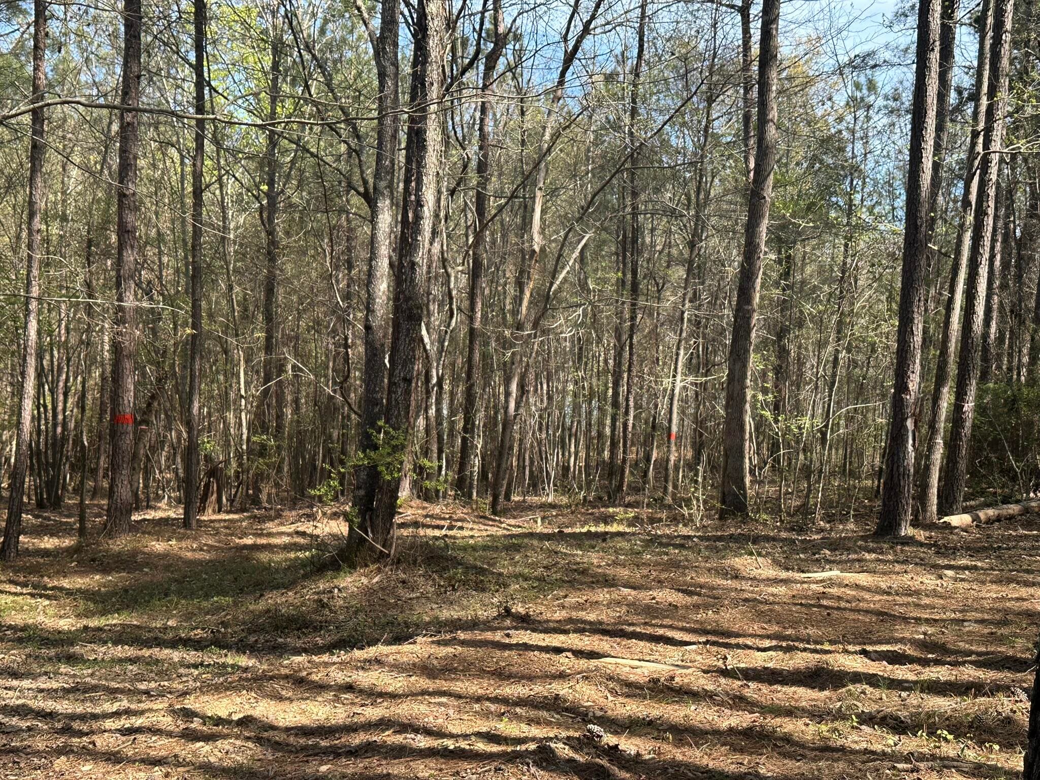 Residential Lot at Lot 65 65 Maiden Cane Way, Lincolnton, GA 30817, photo 8 of 59
