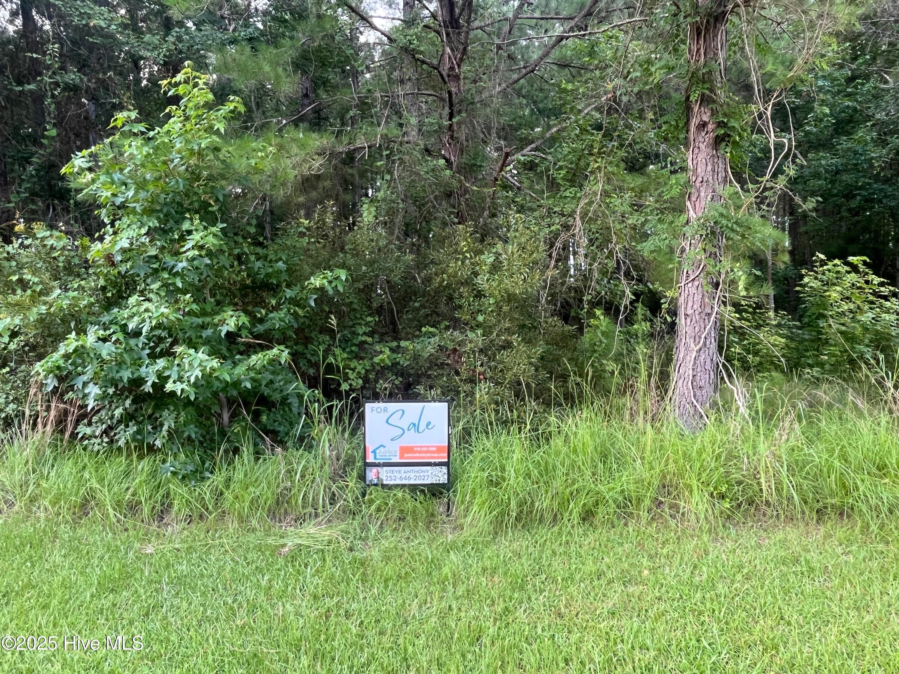 Residential Lot at 309 Garbacon Drive, Beaufort, NC 28516, photo 6 of 8