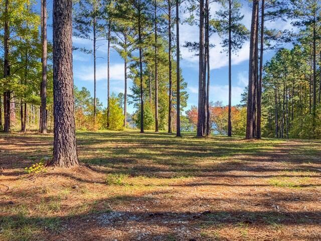 Residential Lot at 18 S Pointe Cove, Lincolnton, GA 30817, photo 9 of 15
