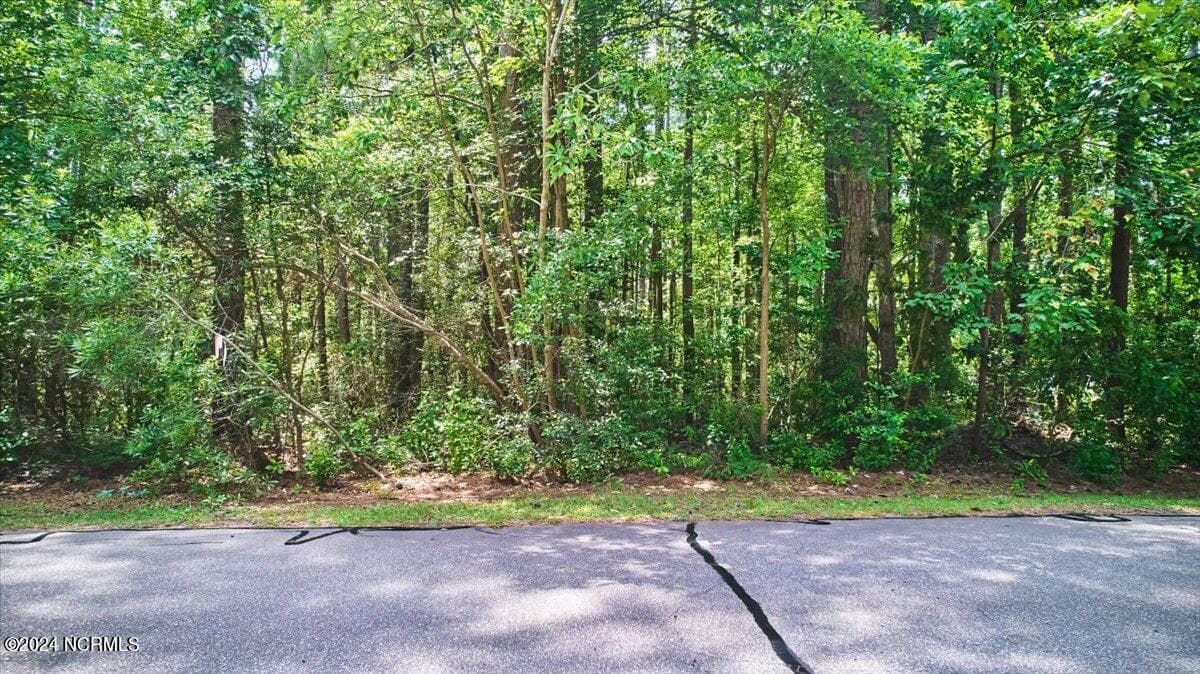 Undeveloped at 16 Lakeshore Drive, Wagram, NC 28396, photo 6 of 8