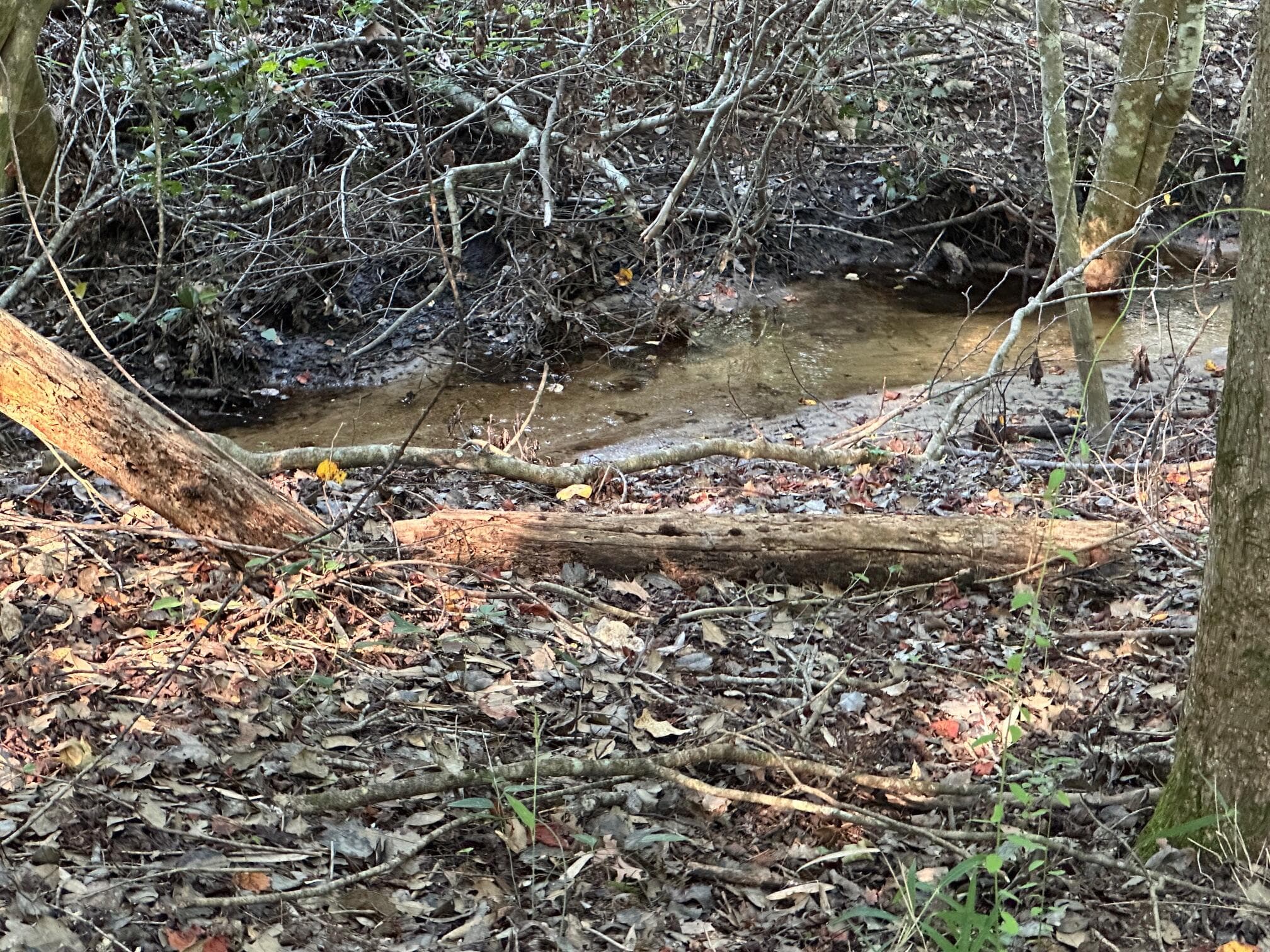 Undeveloped at 2576 Jessie James Pond Road, Wrens, GA 30833, photo 24 of 56