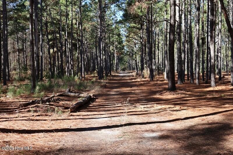 Wooded at Tbd 7 Nc Hwy 130 Road, Fairmont, NC 28340, photo 6 of 10