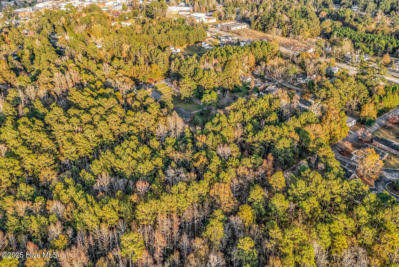 Residential Lot at 0 Woodrow Street, Tabor City, NC 28463, photo 11 of 11