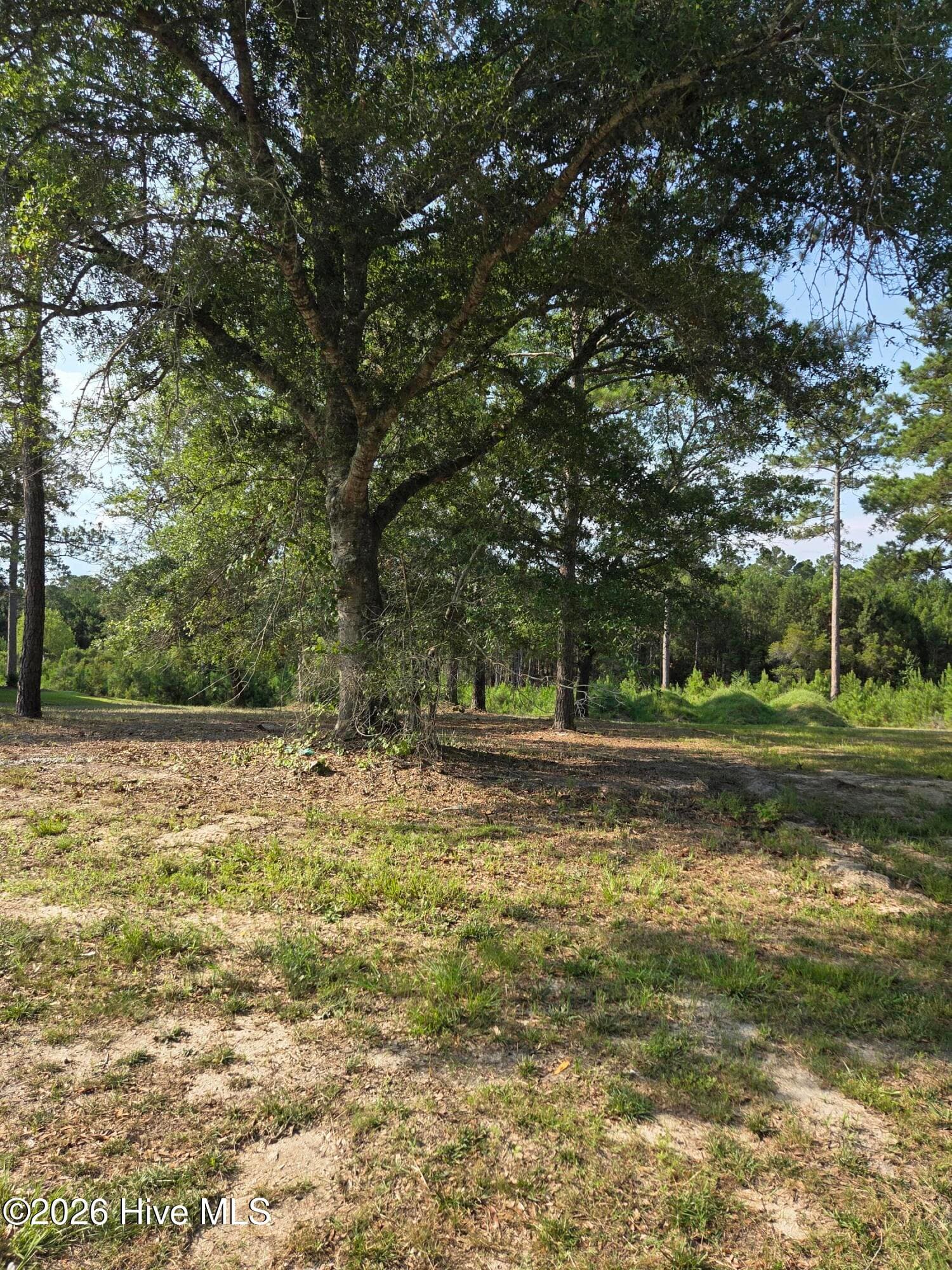Residential Lot at 7547 33 Wallace Place SW, Sunset Beach, NC 28468, photo 4 of 6