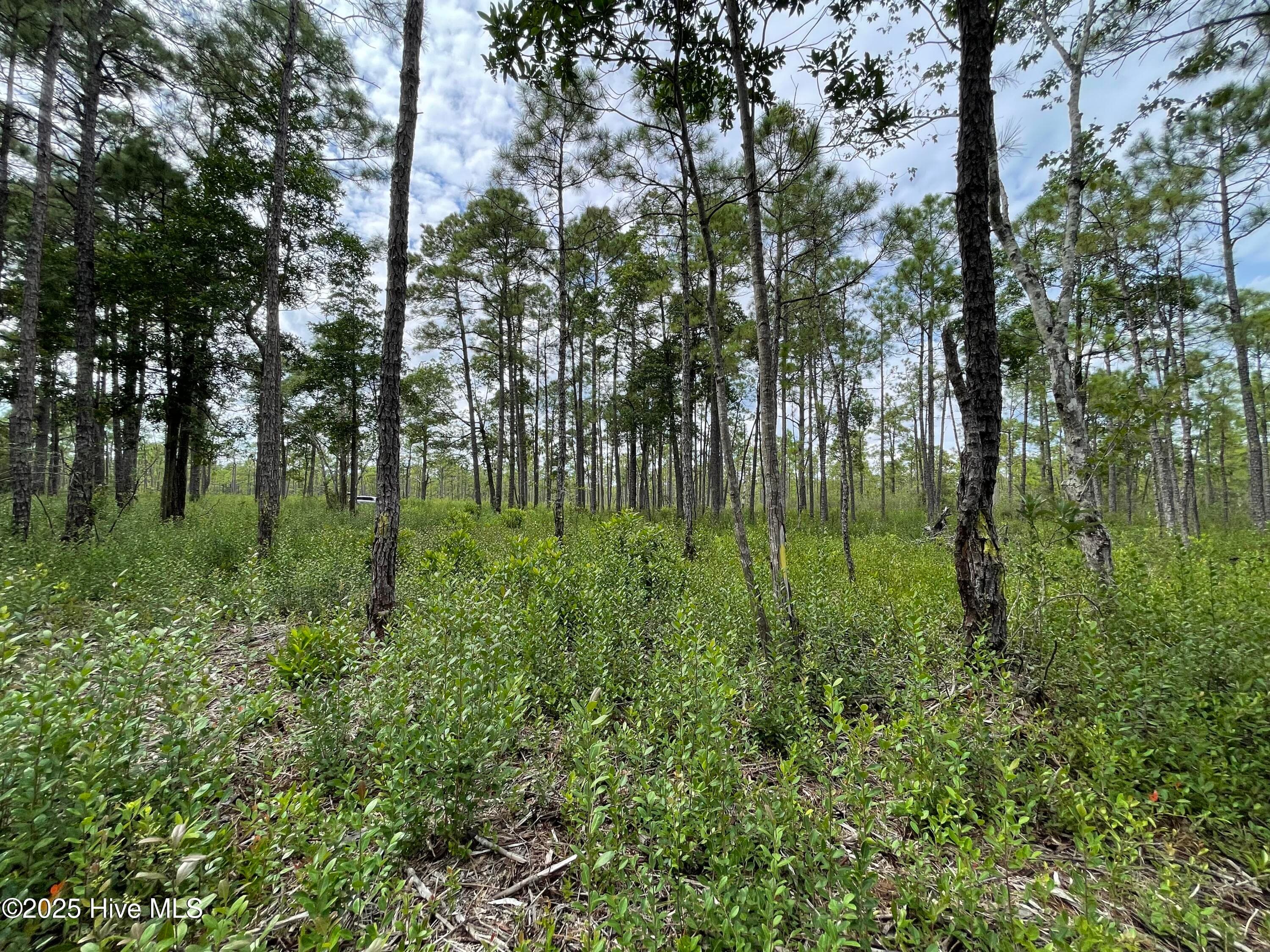 Residential Lot at 811 Brittany Road, Southport, NC 28461, photo 18 of 25