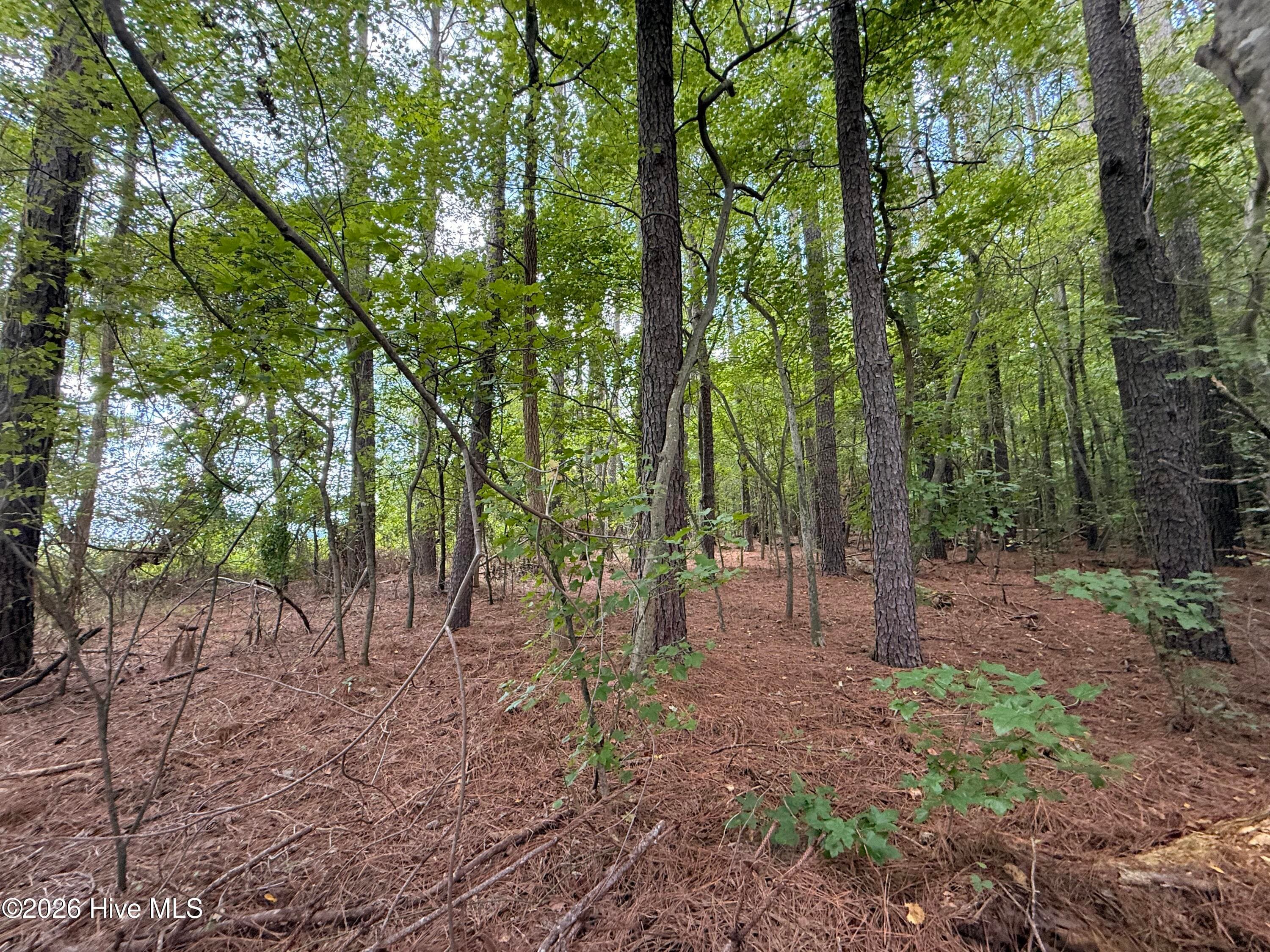 Residential Lot at Lot 2b Holland Road, Greenville, NC 27834, photo 2 of 5