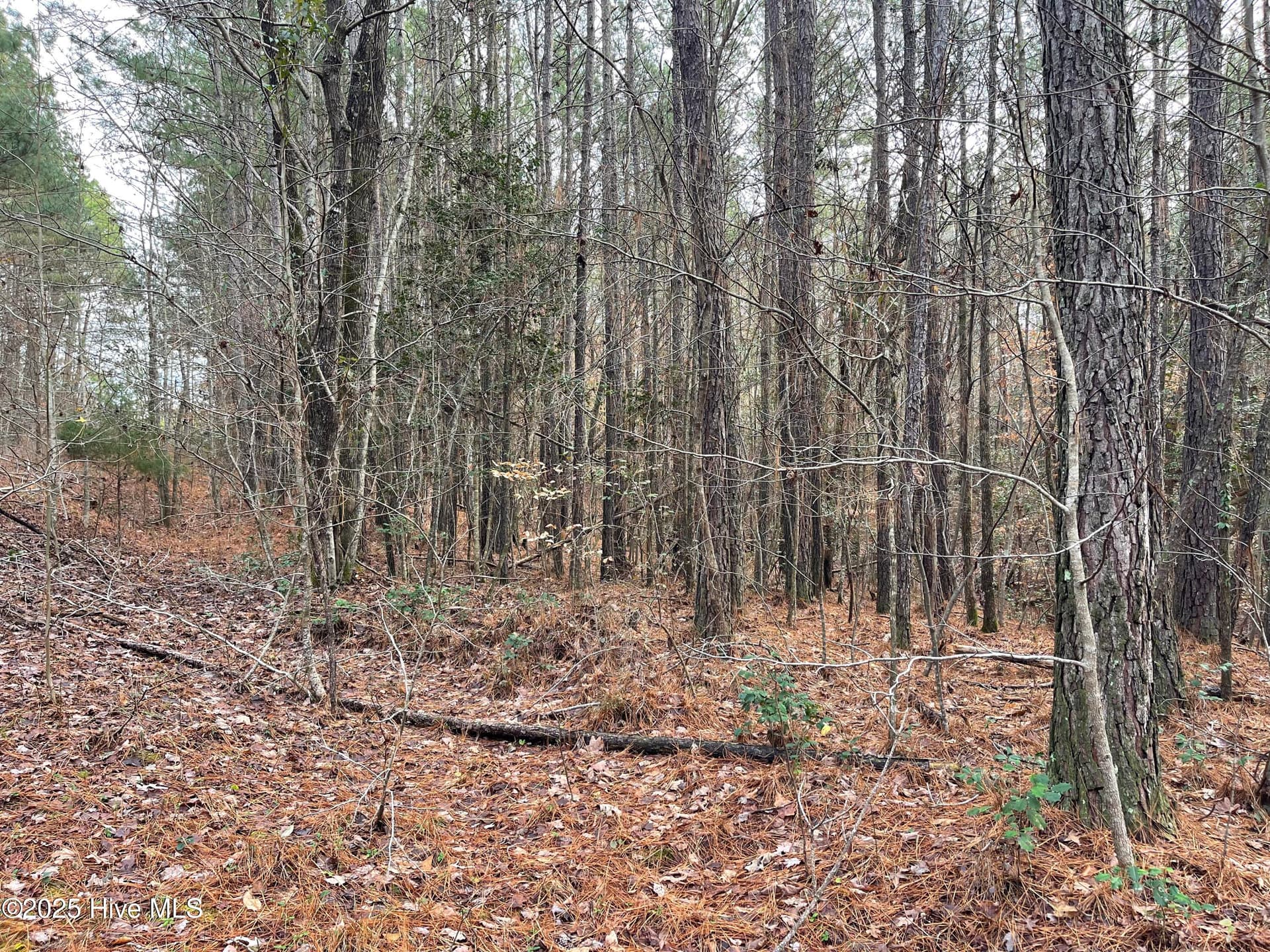 Residential Lot at 000 N State Lane, Rockingham, NC 28379, photo 3 of 4