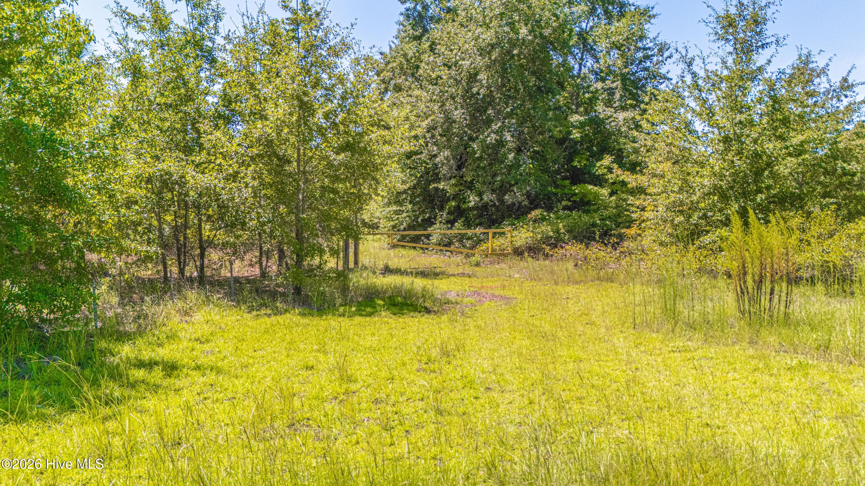 Residential Lot at Tbd Blue Springs Road, Red Springs, NC 28377, photo 11 of 11