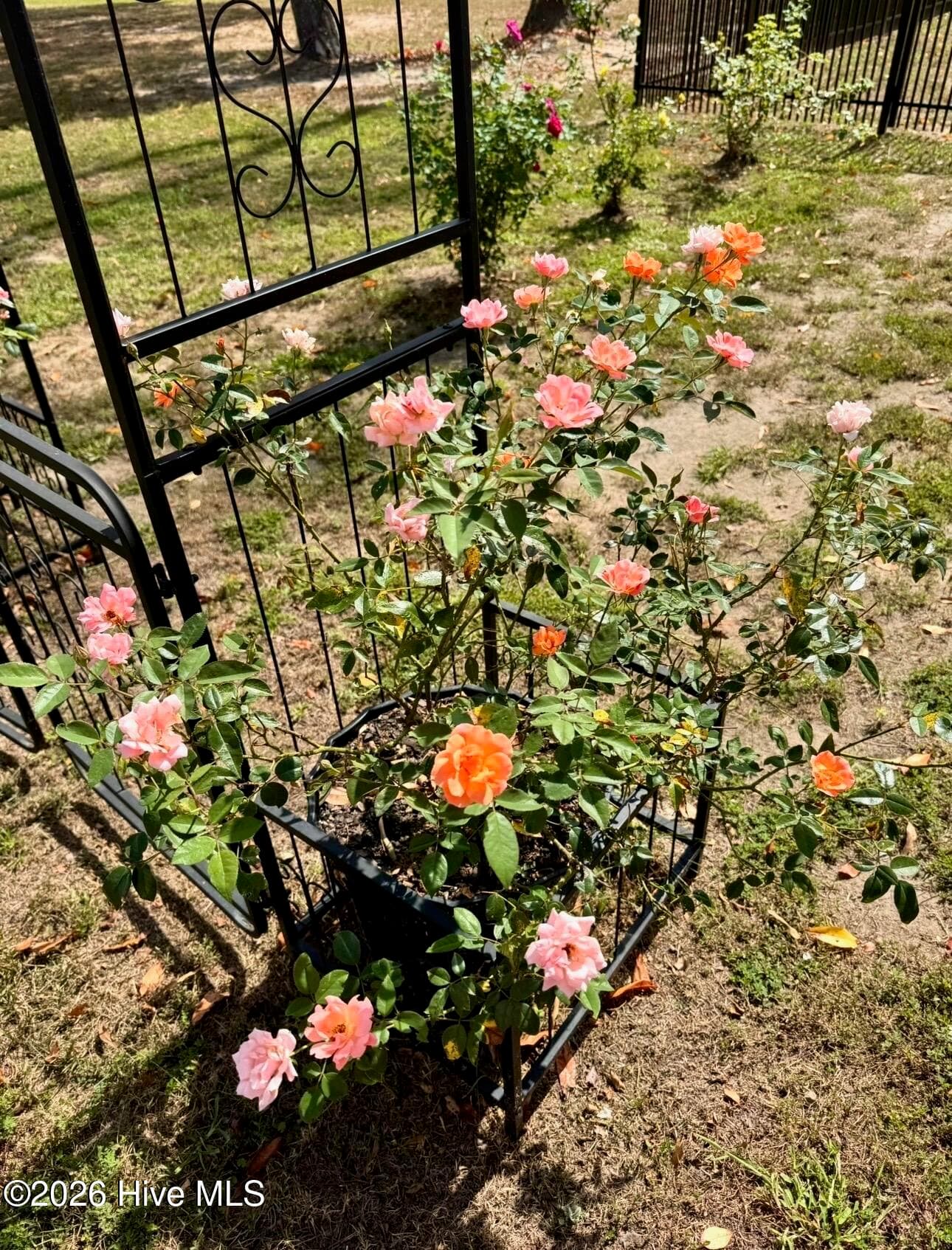 LANDSCAPING WWITH SEASONAL FLOWERS - 1874 Slatestone Road, Washington, NC 27889