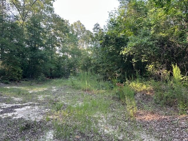 Undeveloped at 2576 Jessie James Pond Road, Wrens, GA 30833, photo 33 of 56
