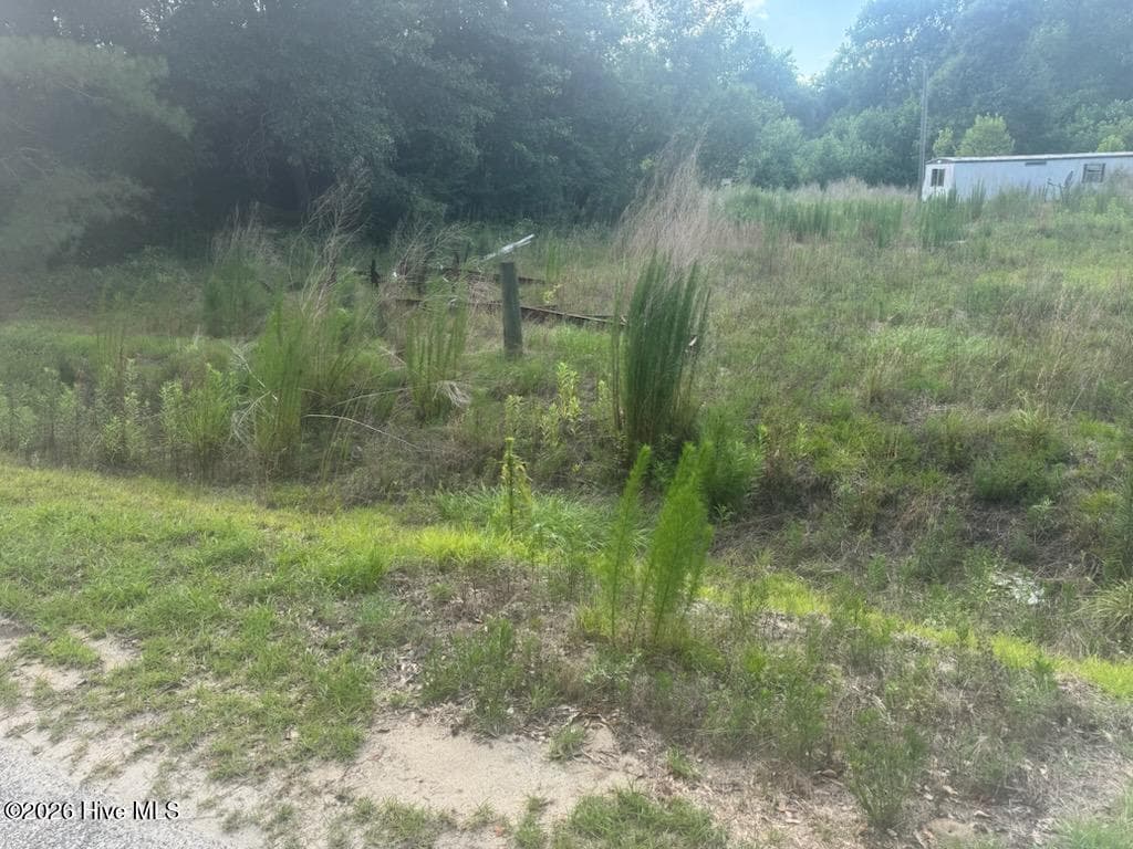 447 Jimmy Road, Magnolia, NC 28453