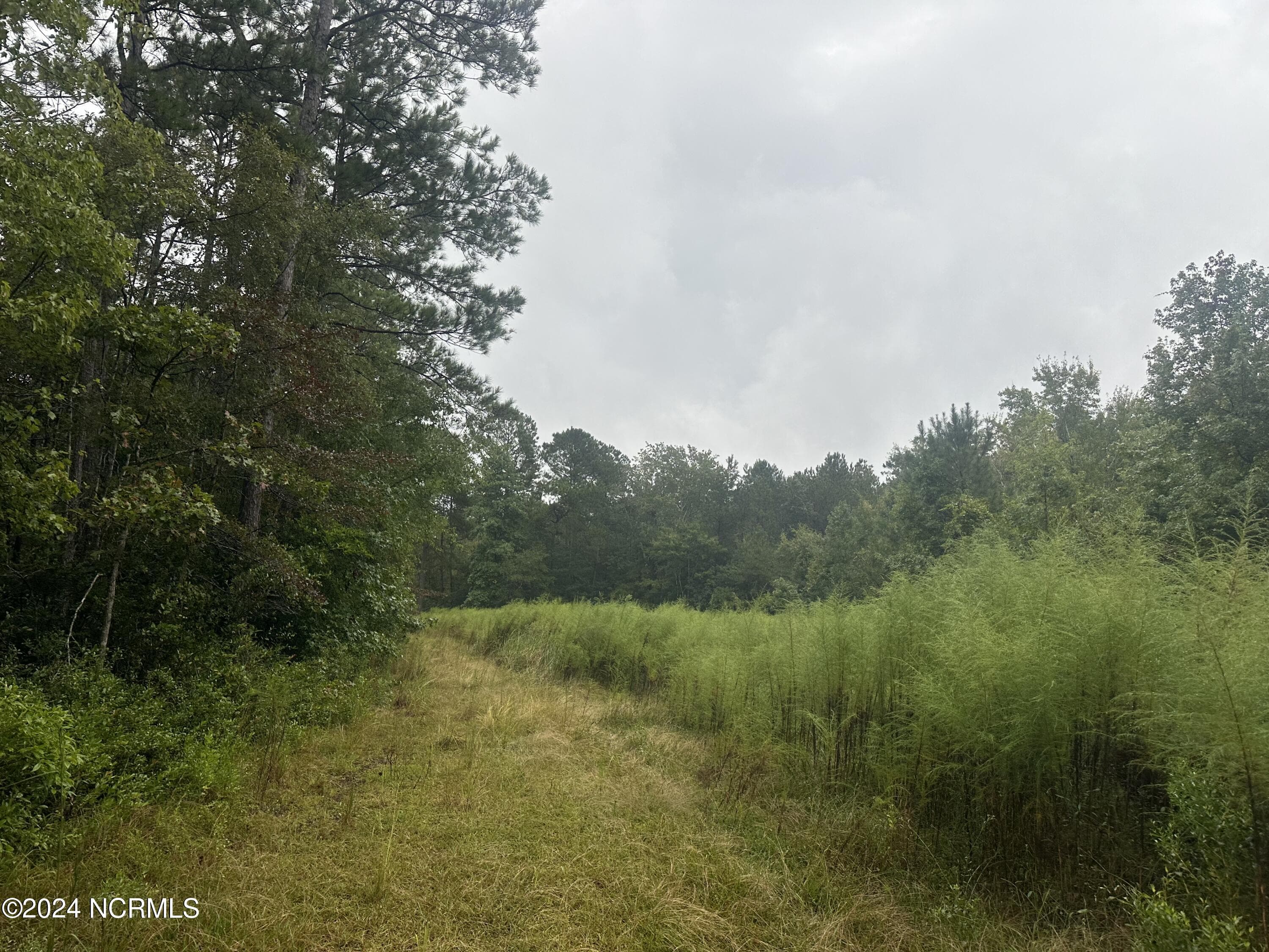 Wooded at Tbd Ash Little River Road NW, Ash, NC 28420, photo 3 of 15