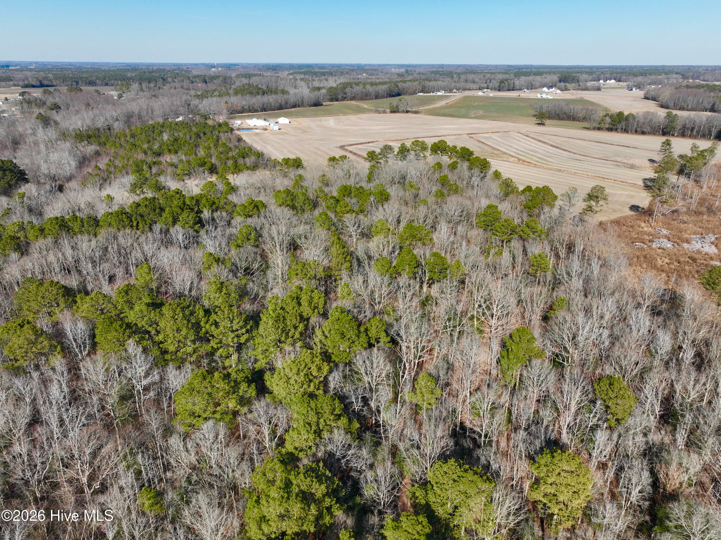 Wooded at 0 Fred Circle S, Kenly, NC 27542, photo 14 of 21