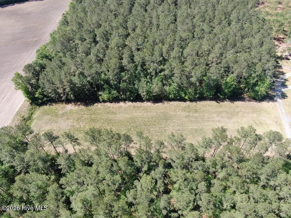 Wooded at 20.51 Acre Sweat Drive, Bladenboro, NC 28320, photo 14 of 16