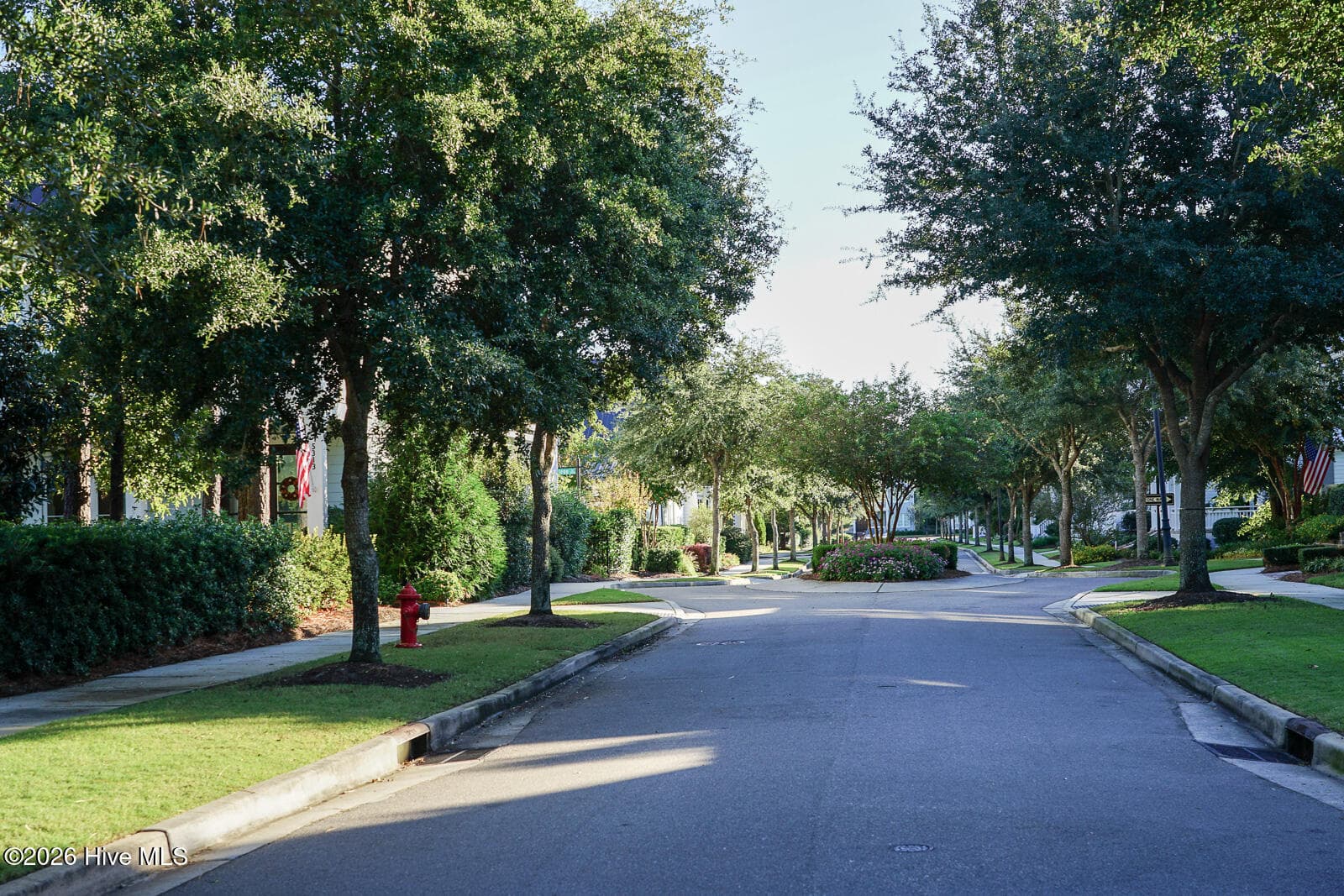 Tree-lined streets - 5206 Old Garden Road, Wilmington, NC 28403