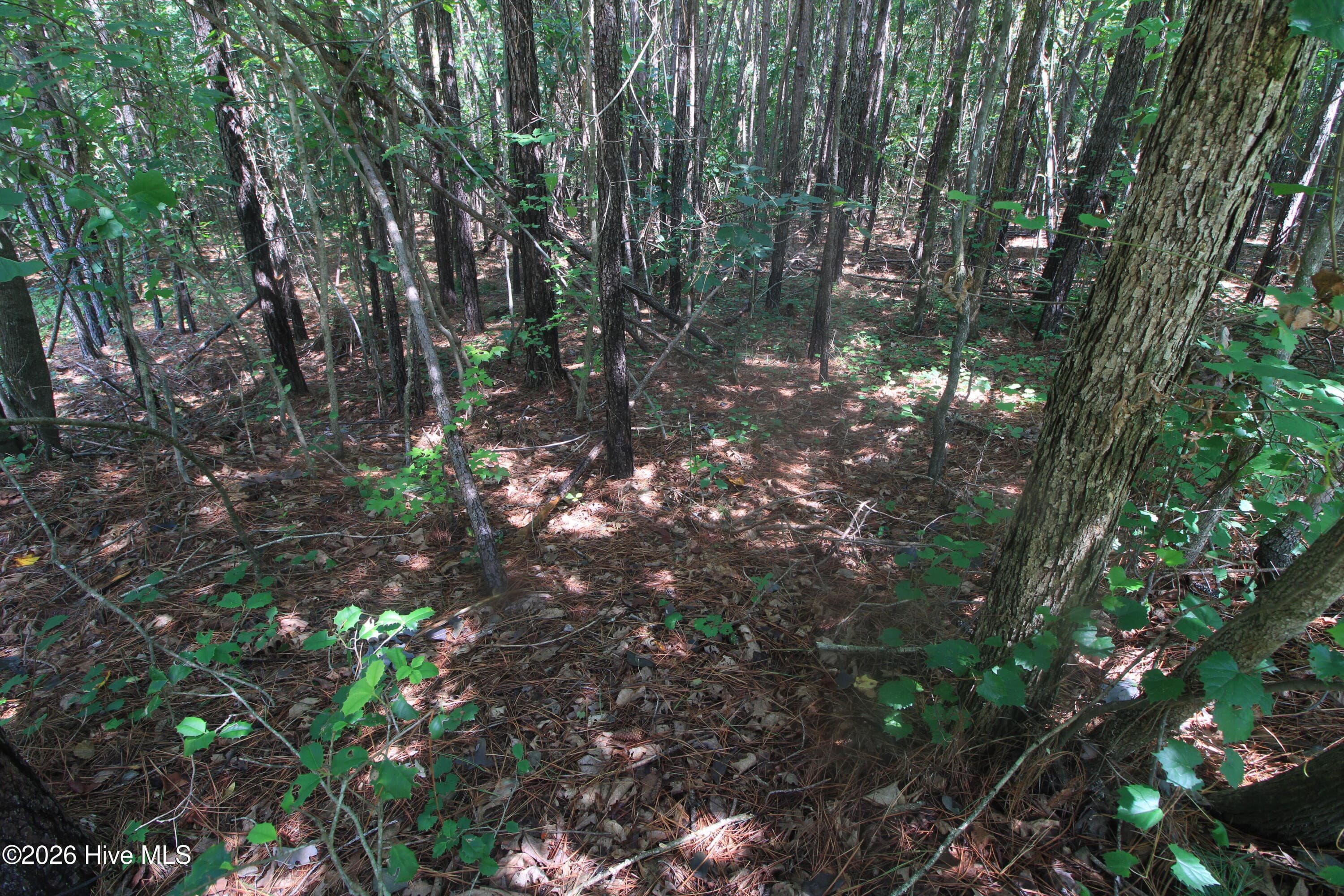 Residential Lot at 0 Crowatan Trail, Carthage, NC 28327, photo 26 of 35