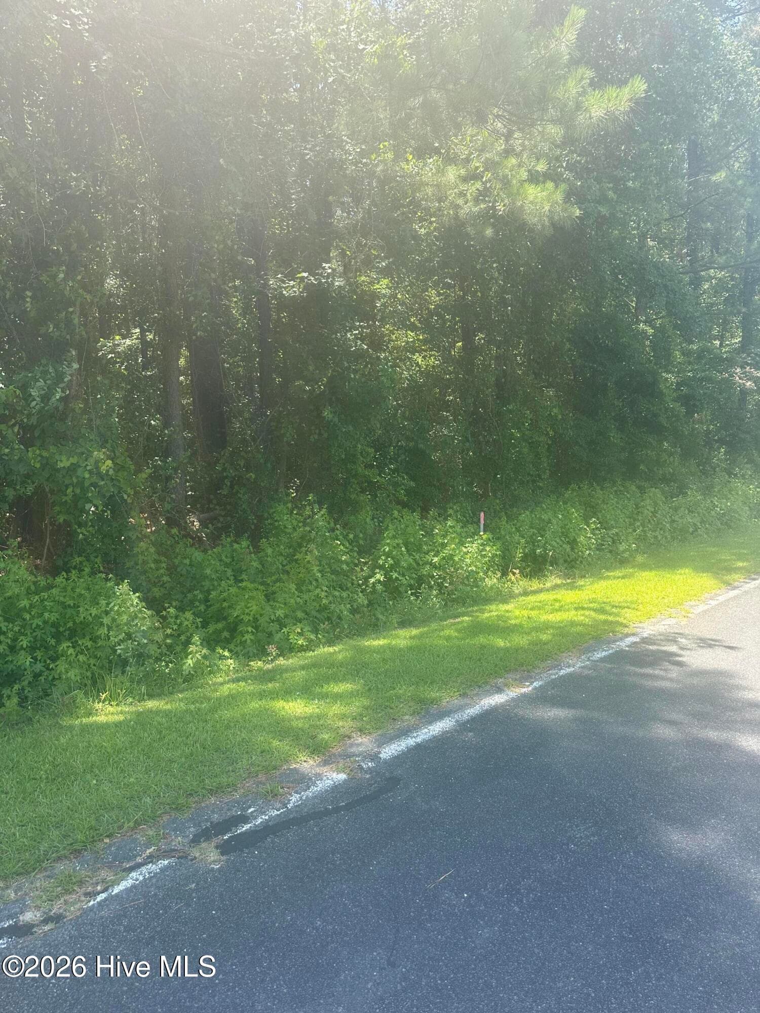 Wooded at Near 721 Near 721 Joe Piver R Road, Chadbourn, NC 28431, photo 12 of 21