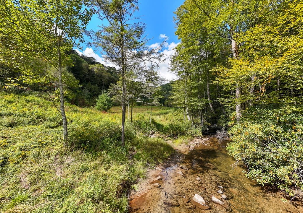 9765 Little Snowbird Road, Robbinsville, NC 28771