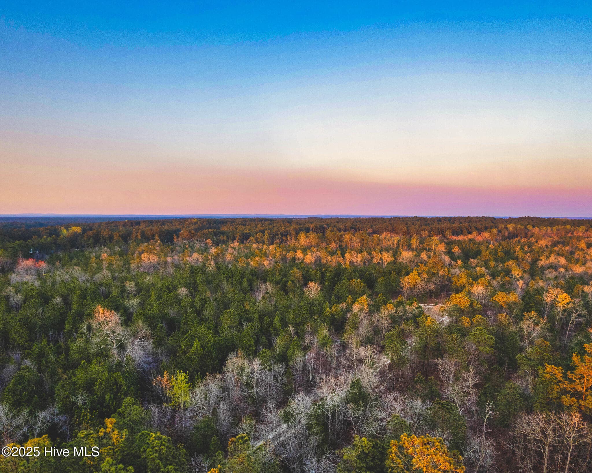 Residential Land at Hwy 15/501, Wagram, NC 28396, photo 2 of 5