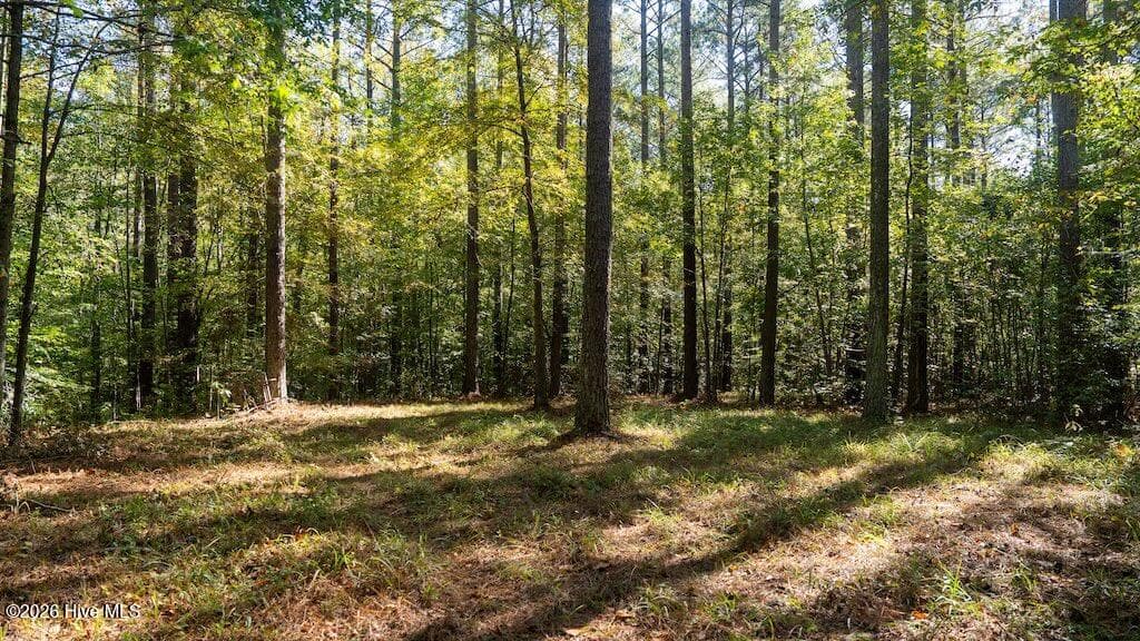 Mixed Use at 0 Spring Hill Road, Scotland Neck, NC 27874, photo 36 of 93