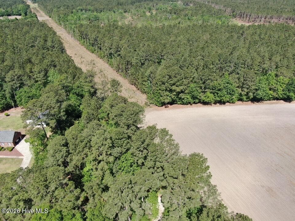 Wooded at 20.51 Acre Sweat Drive, Bladenboro, NC 28320, photo 12 of 16