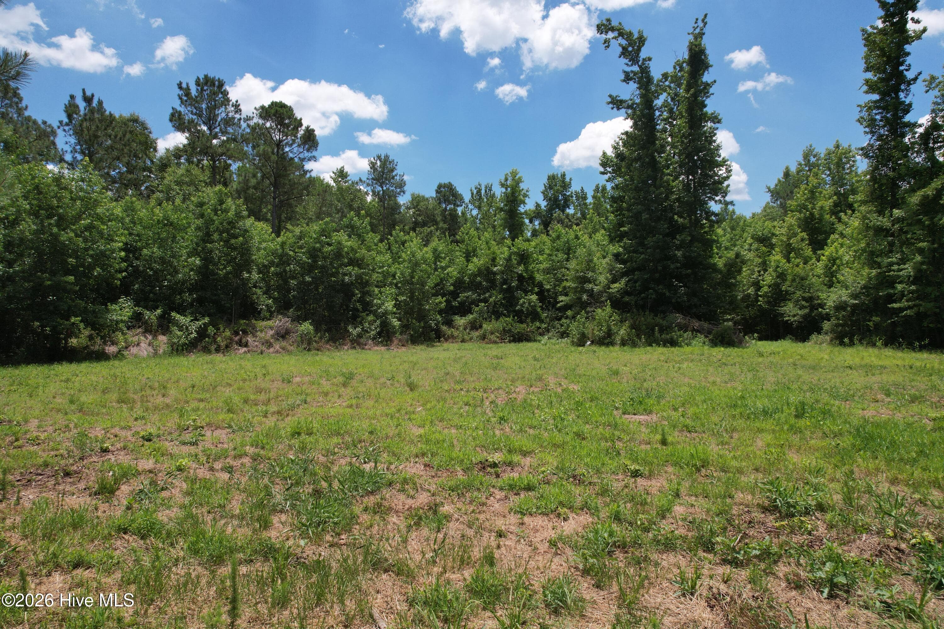 Residential Lot at 00 Old Chinquapin Road, Beulaville, NC 28518, photo 2 of 2