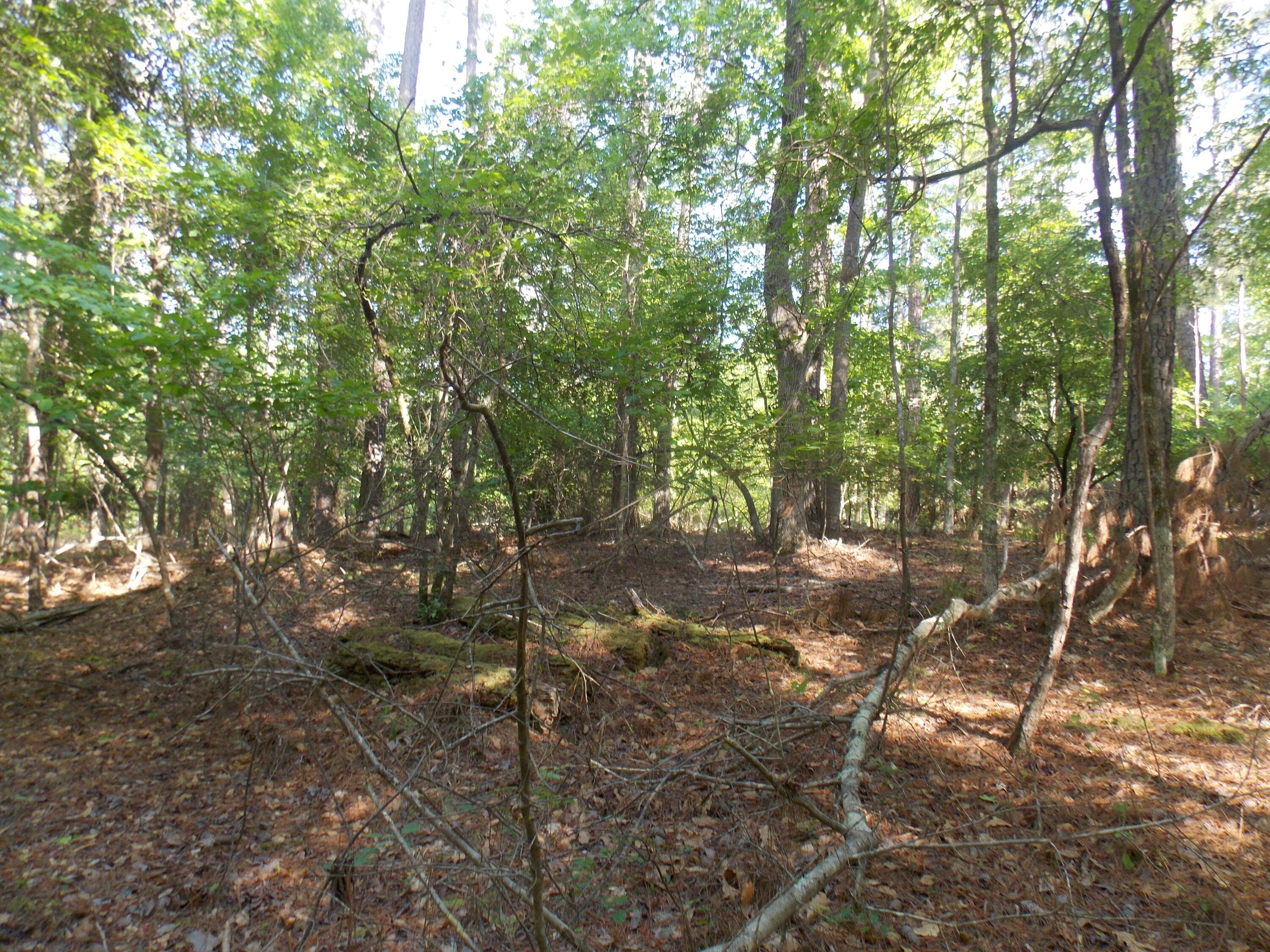 Residential Lot at 13 13 Riverview Ct, Lincolnton, GA 30817, photo 4 of 5