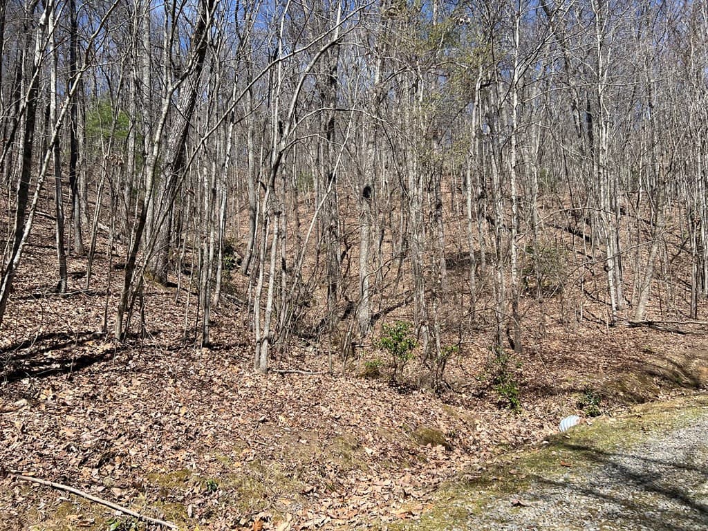 Residential Lot at Lots High View Rd Wolf Mountain Estates, Murphy, NC 28906, photo 12 of 18