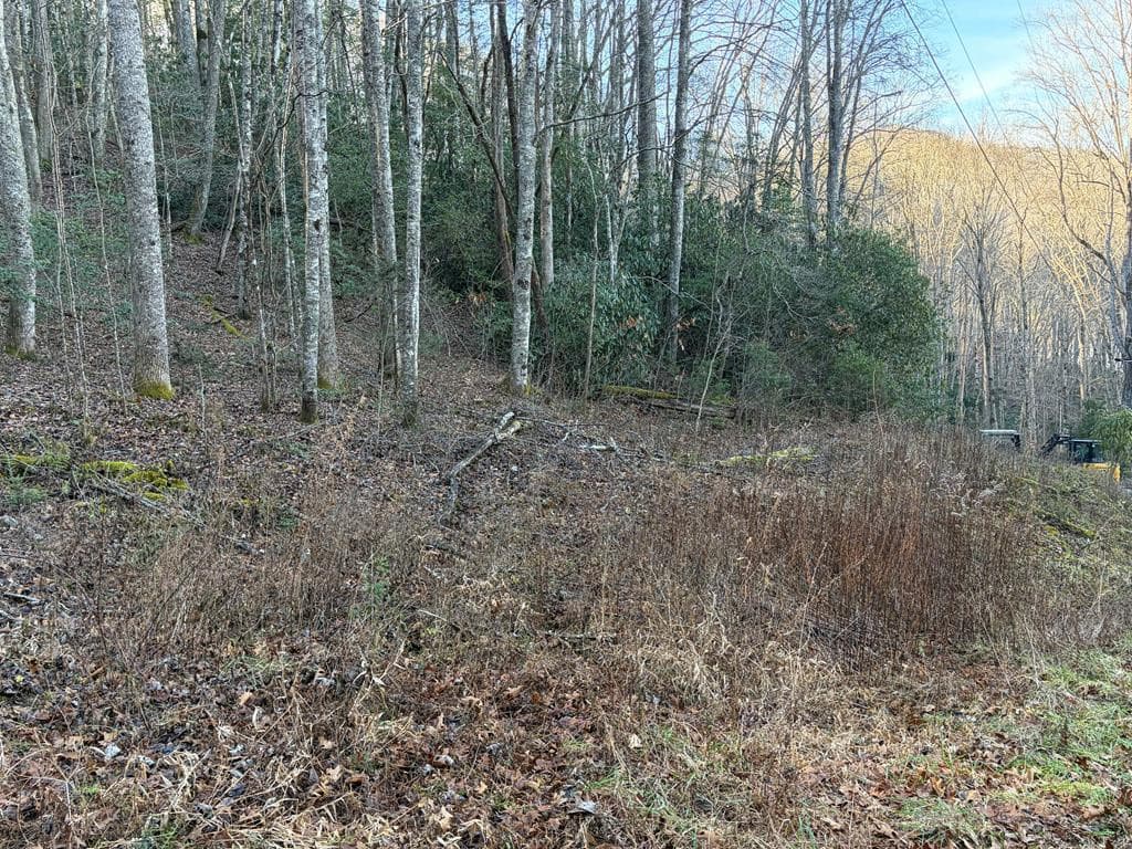 00 19 Choga Trail, Topton, NC 28781