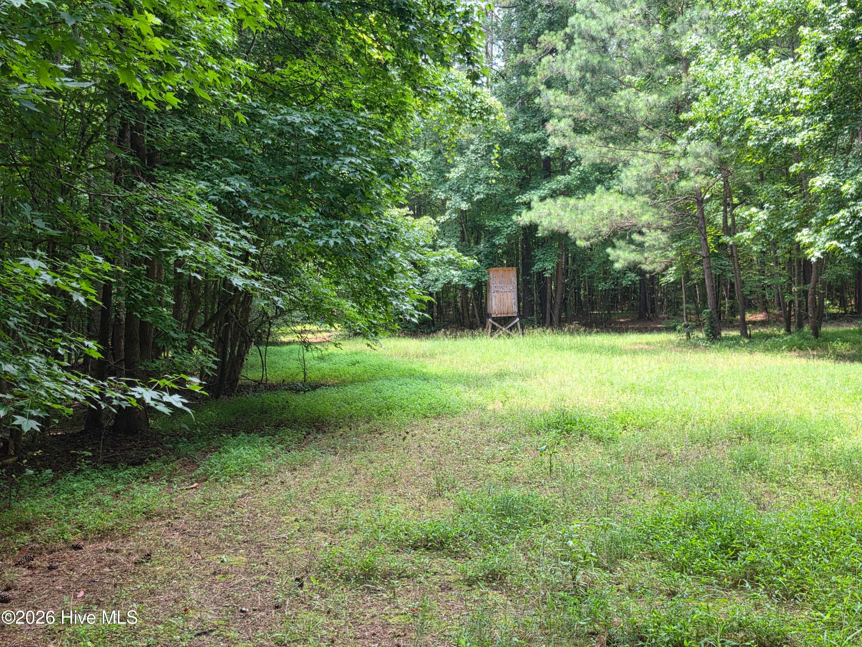Mixed Use at 000 Court Ground Road, Washington, GA 30673, photo 27 of 52