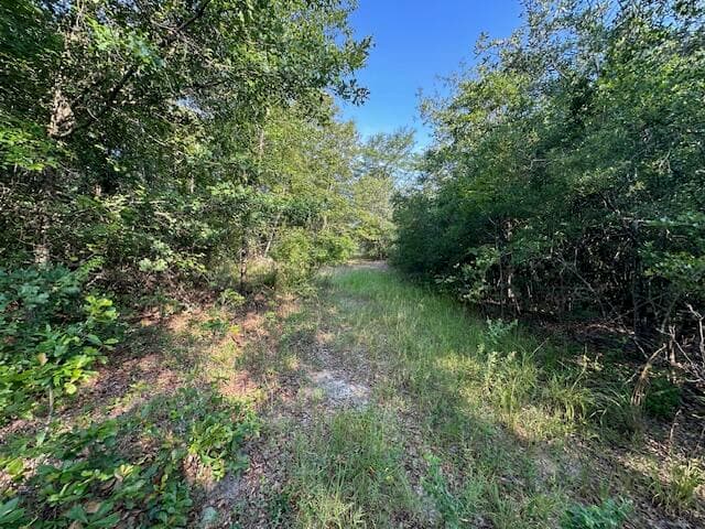 Undeveloped at 2576 Jessie James Pond Road, Wrens, GA 30833, photo 49 of 56