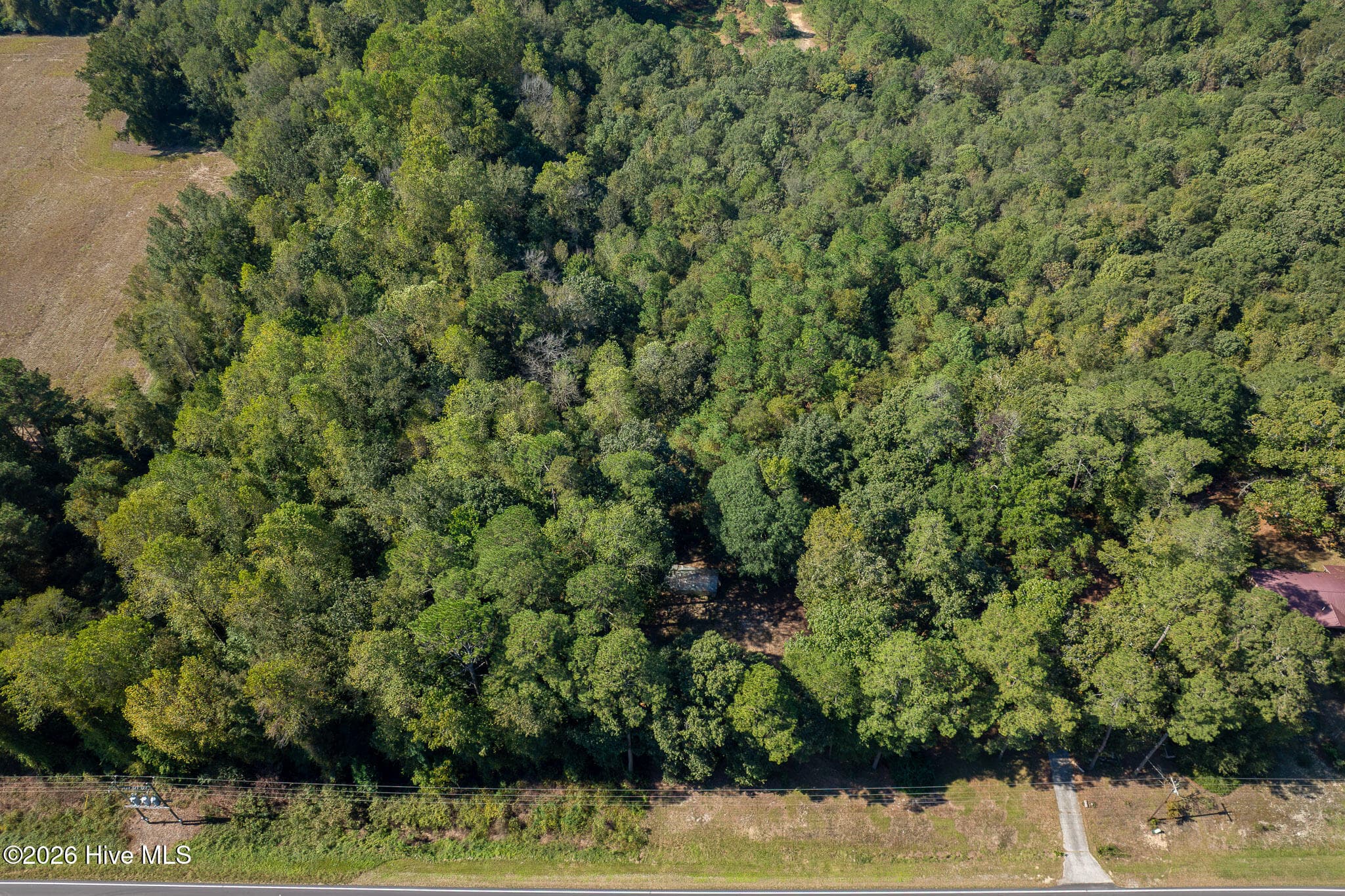 Single Family Residence at 245 Tracy Brown Road, Magnolia, NC 28453, photo 45 of 46