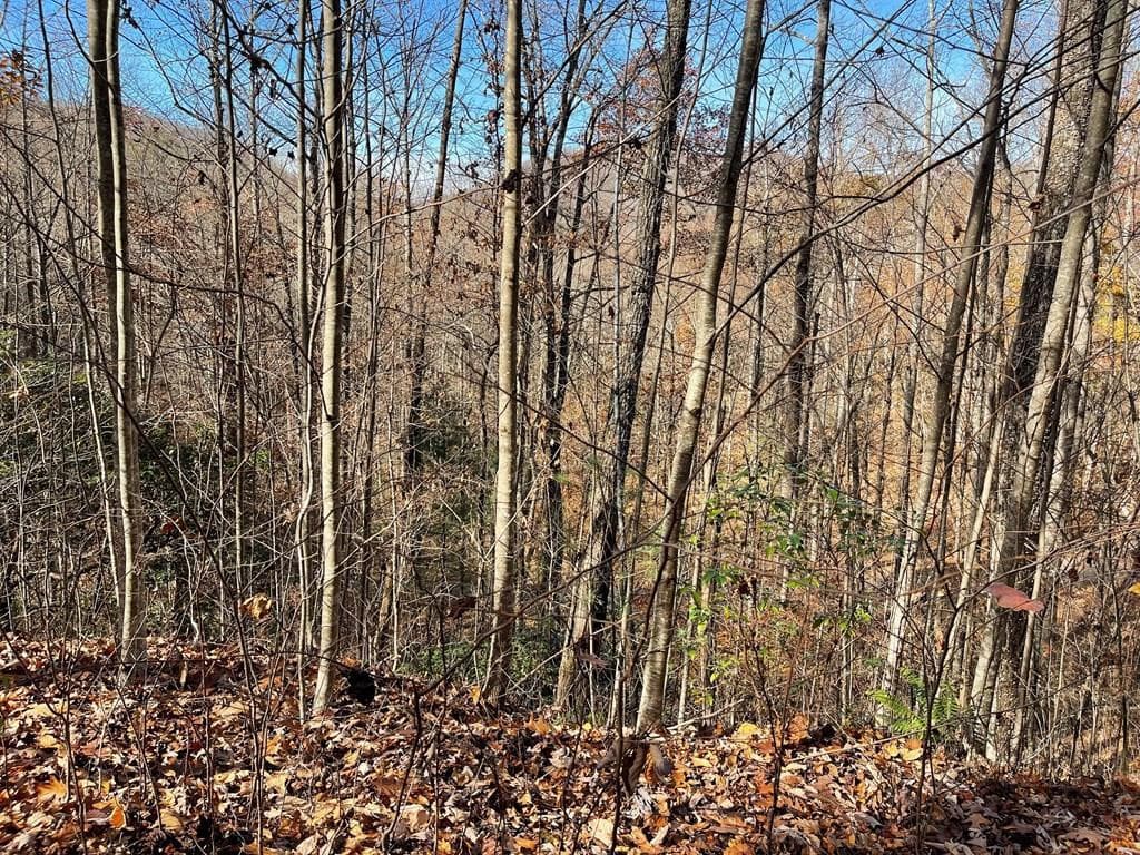 Lot 49j 49J Indian Trail, Hayesville, NC 28904