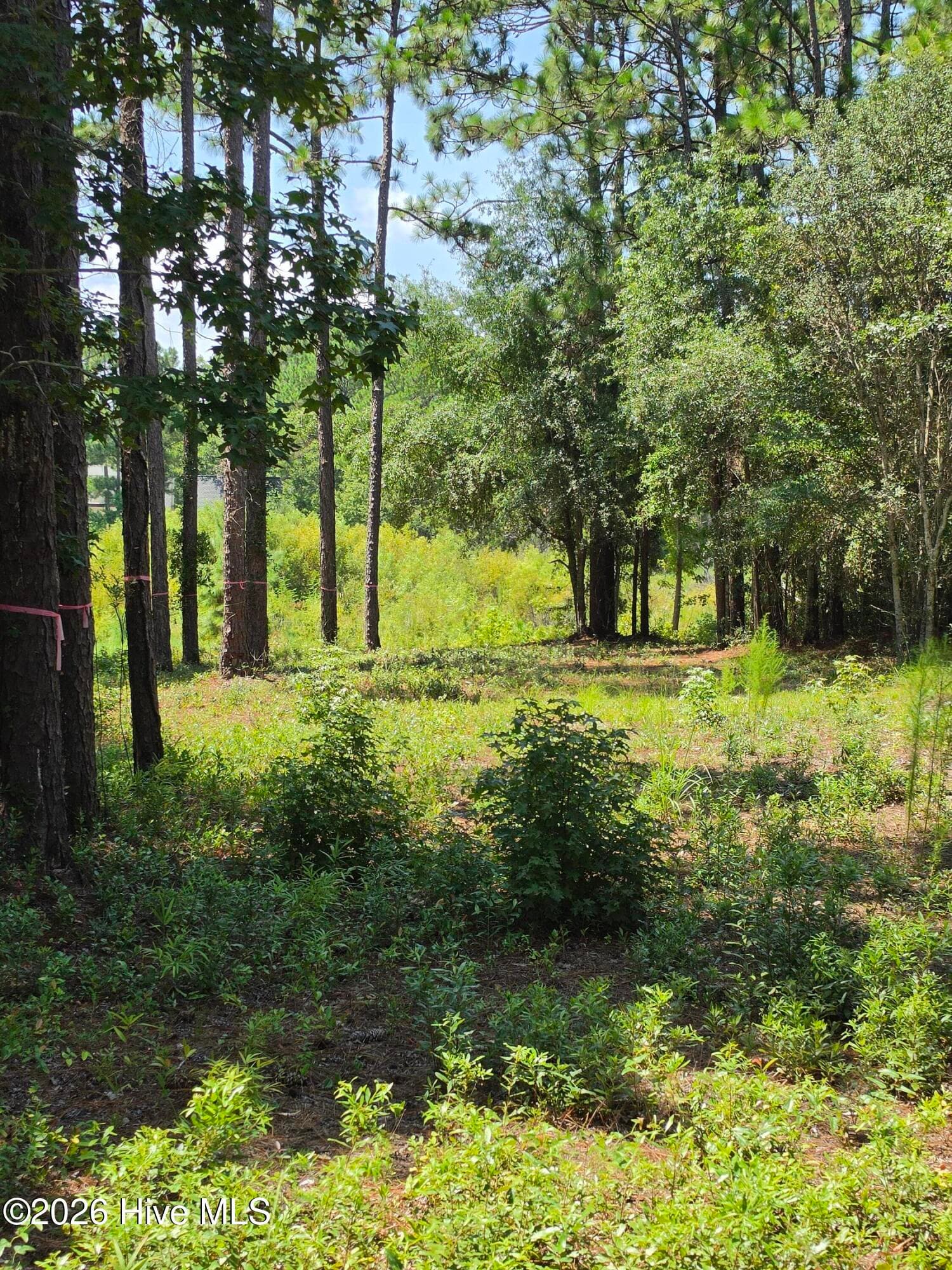 LOT 44 , PINE SHORES DRIVE - 44 Pine Shores Drive, Southport, NC 28461