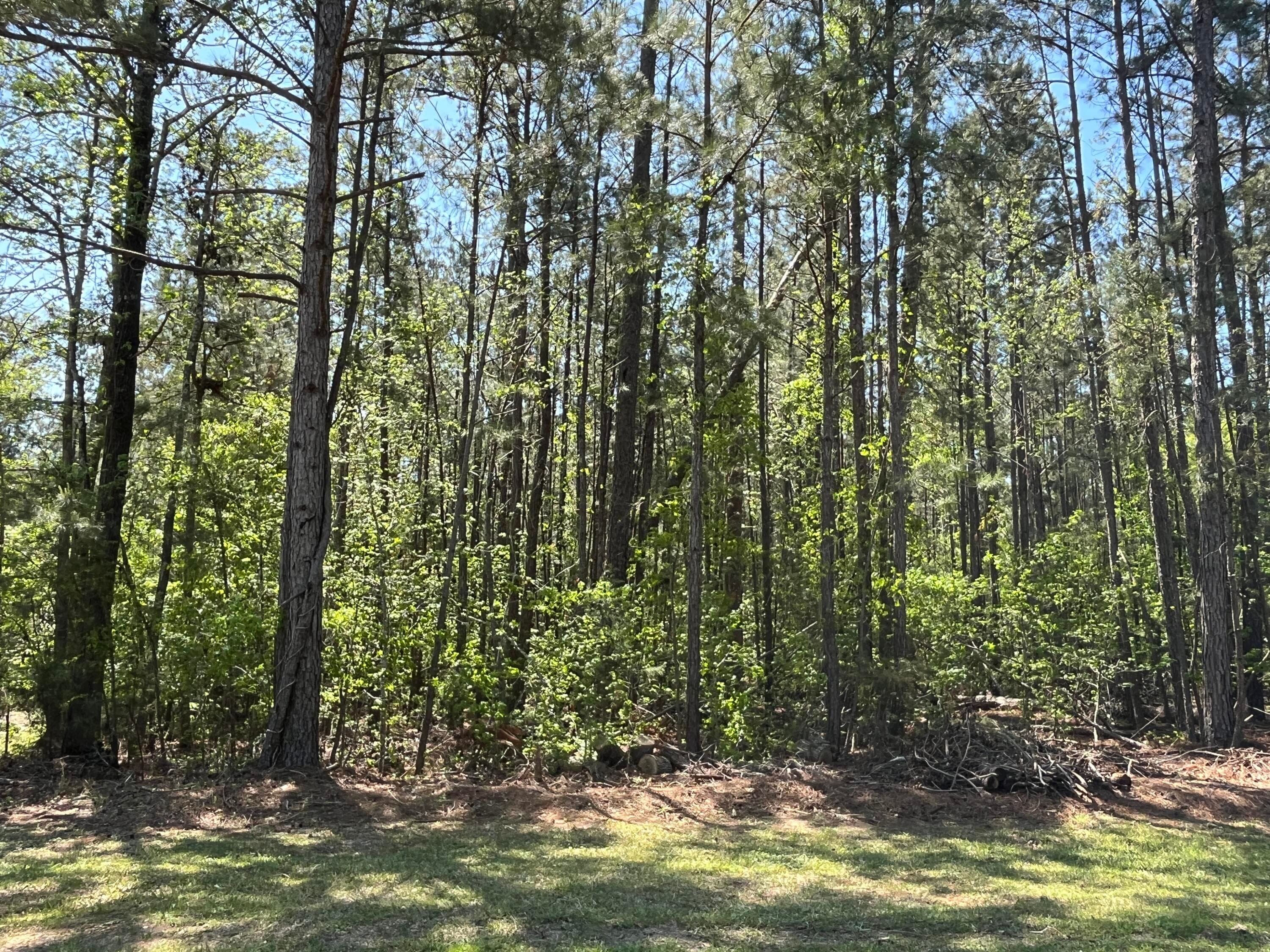 Undeveloped at L14 B39 Antioch Drive, McCormick, SC 29835, photo 7 of 8