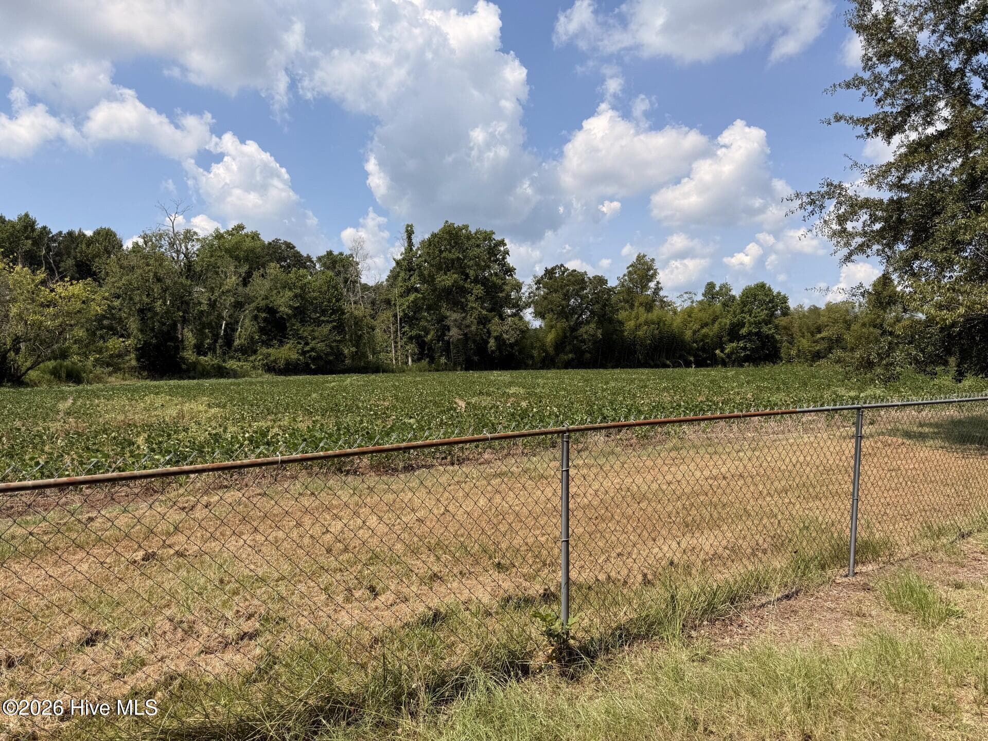 Farm at 685 Snake Road, Lumberton, NC 28358, photo 4 of 10