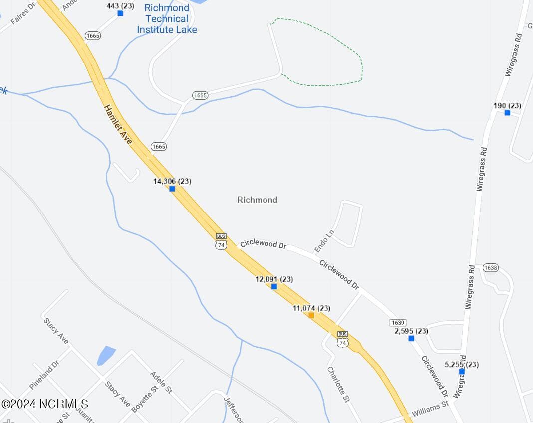 Commercial Sale at Tbd Hwy 74 Highway, Hamlet, NC 28345, photo 4 of 14