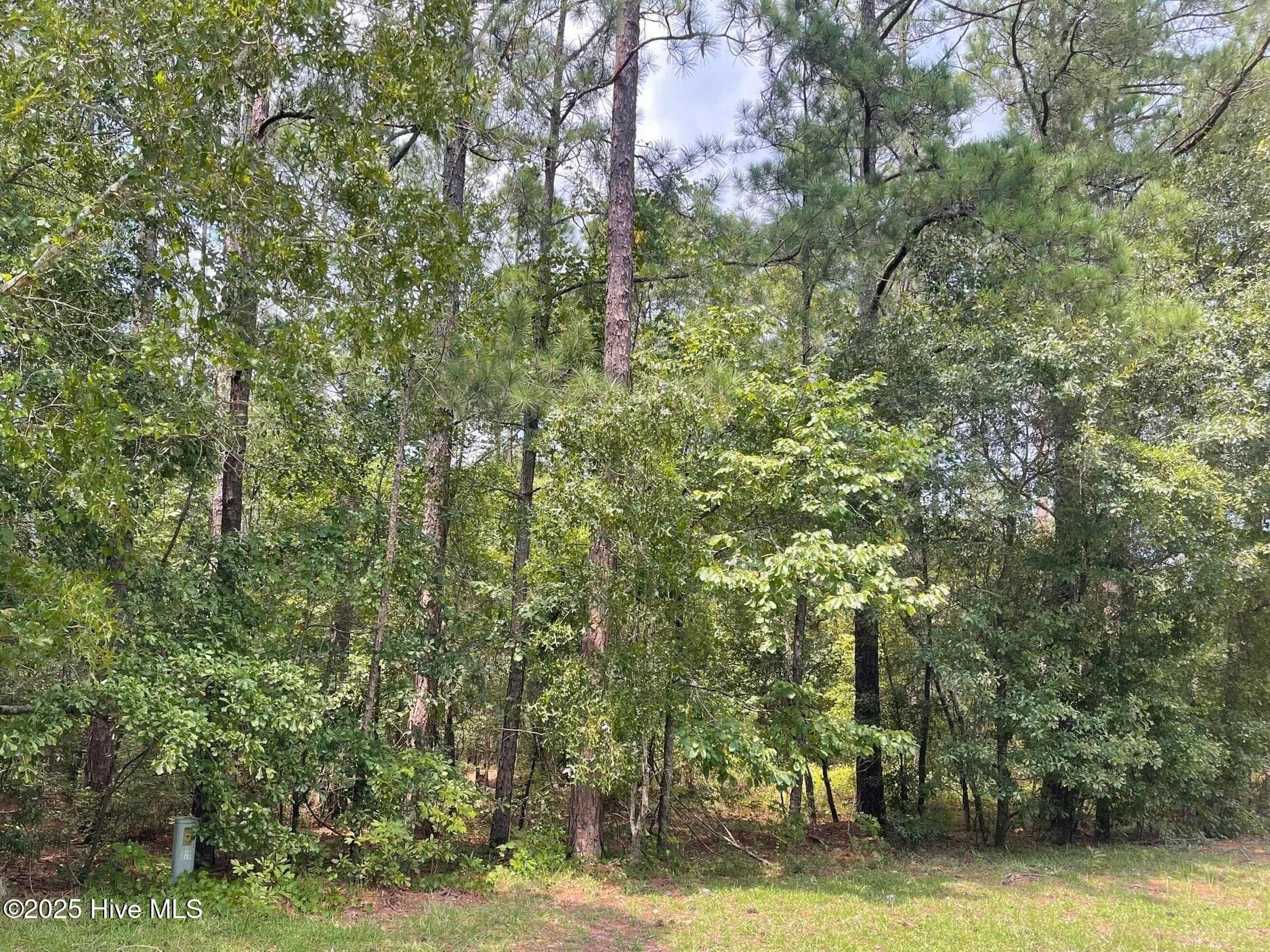 Residential Lot at 7 7 Country Lane, Ellerbe, NC 28338, photo 11 of 12