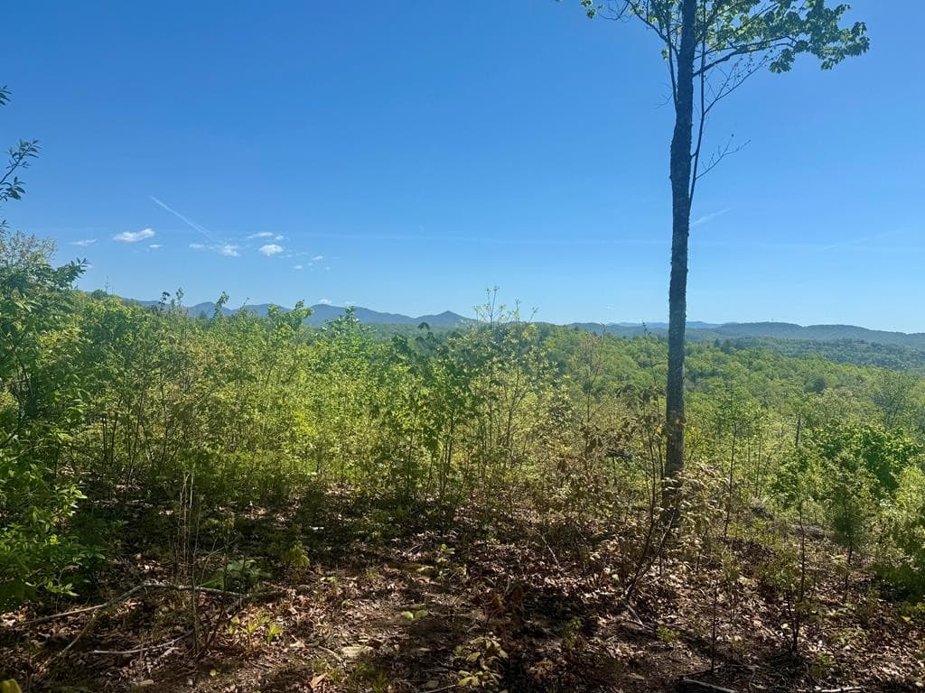 51 51 Wayah Ridge, Murphy, NC 28906