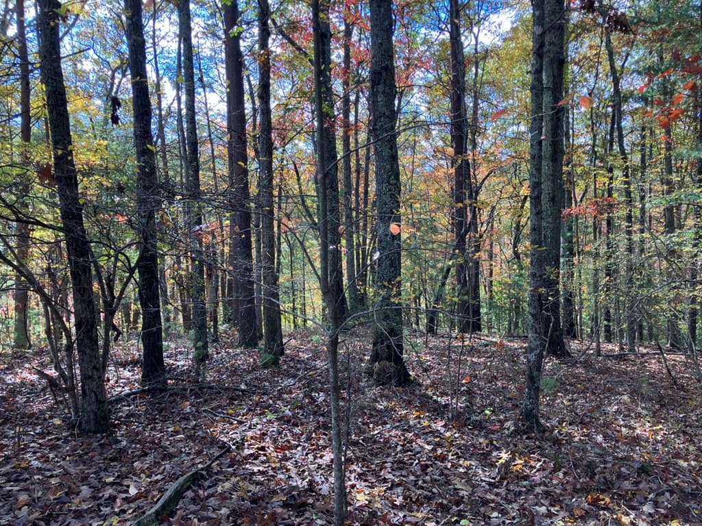 39a 0 Hedden Stiles, Murphy, NC 28906