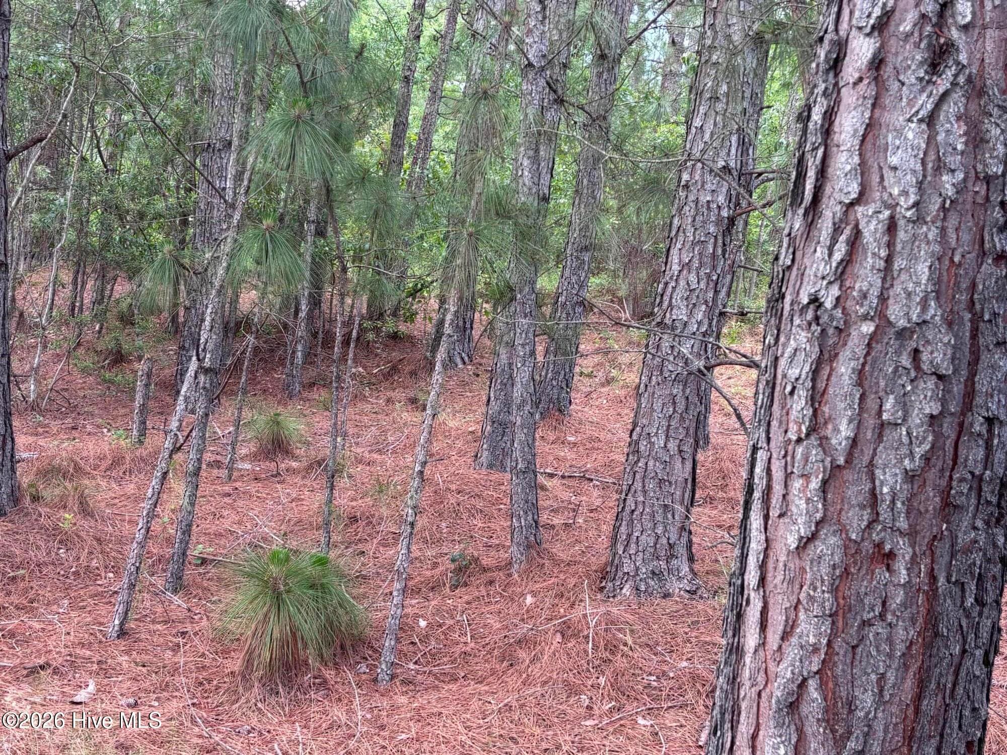 Residential Lot at 111 Callis Circle, West End, NC 27376, photo 14 of 18